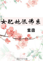 女配很纯洁，穿书女配三个男主一锅炖