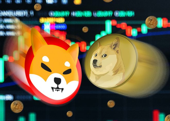 狗狗币价格今日的价格，狗狗币今日价格走势