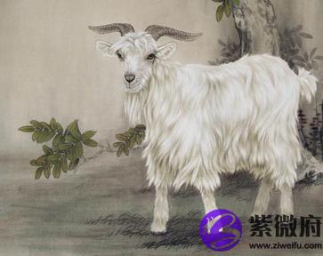 丁未年是哪一年，丁未年五行属什么