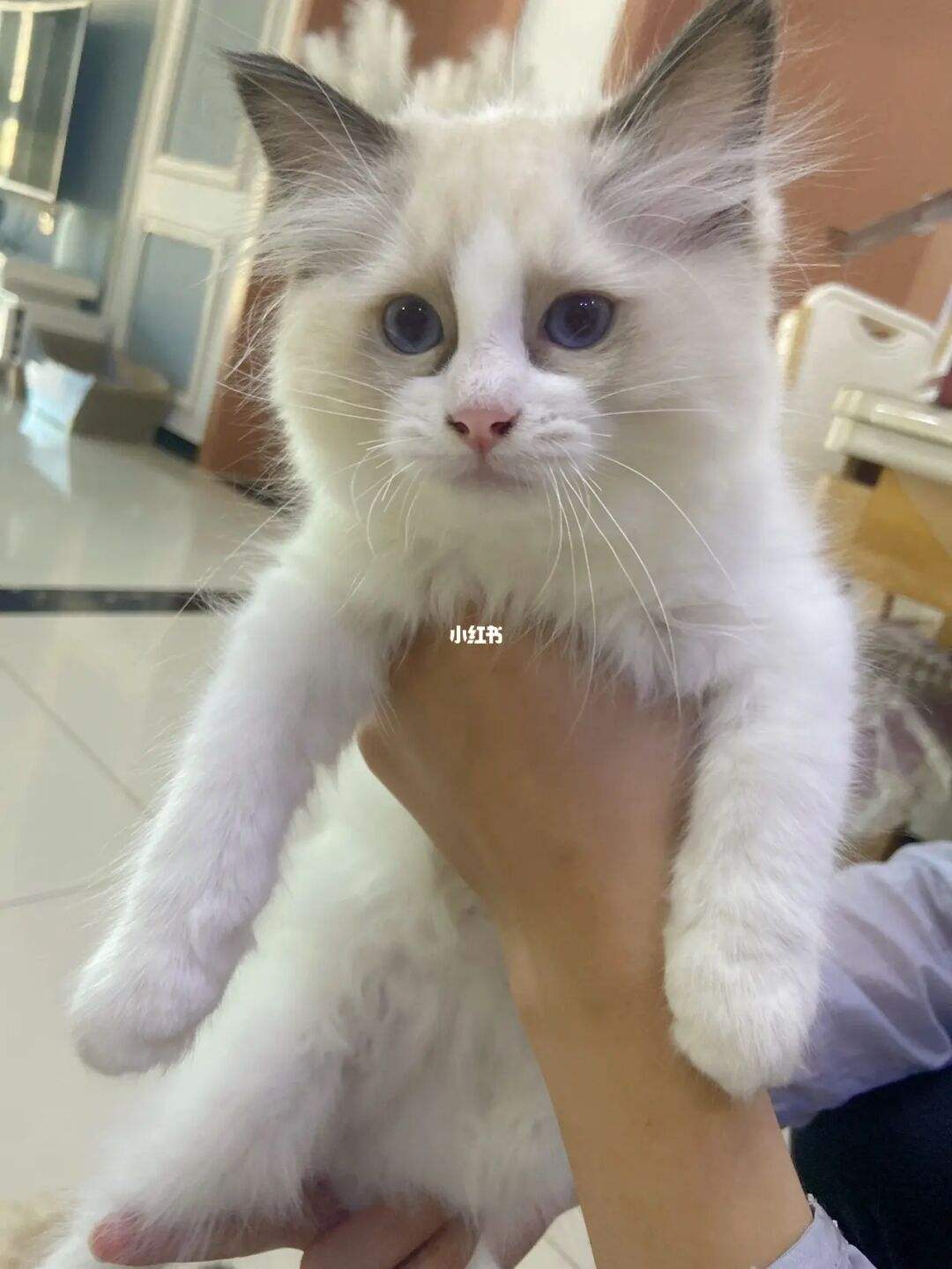 下么，厦门大学分数线