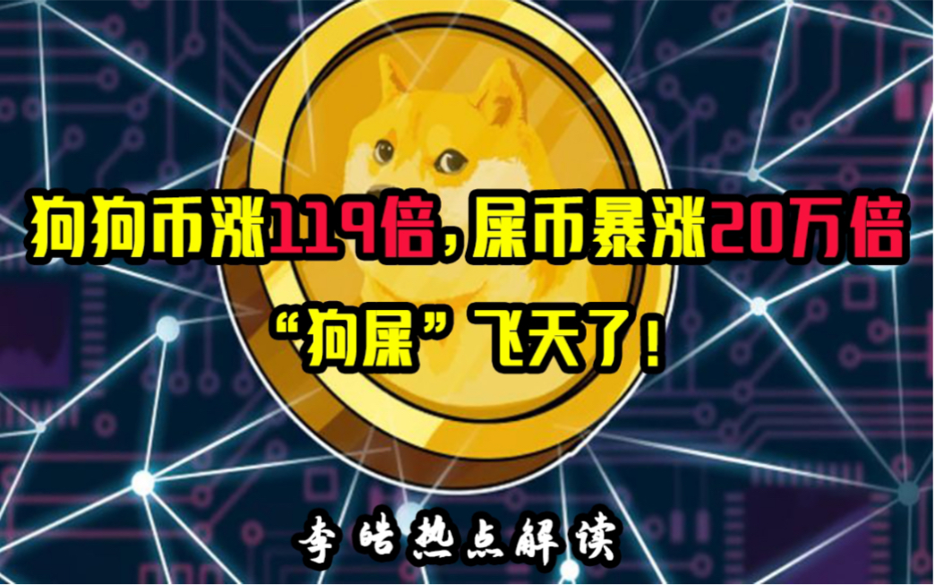 屎币现价格，屎币价格趋势