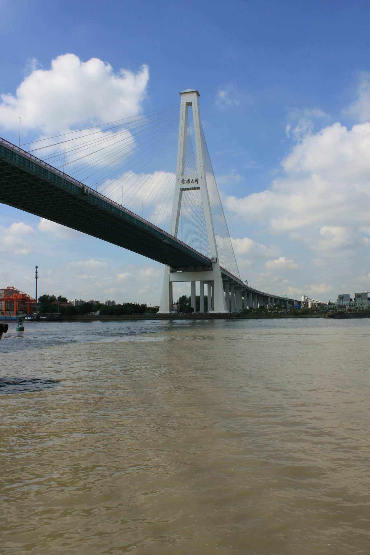 包含黄浦江潮汐时间表2022徐浦大桥的词条