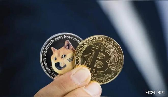 狗狗币最低价是多少钱，狗狗币最高价格涨到多少的
