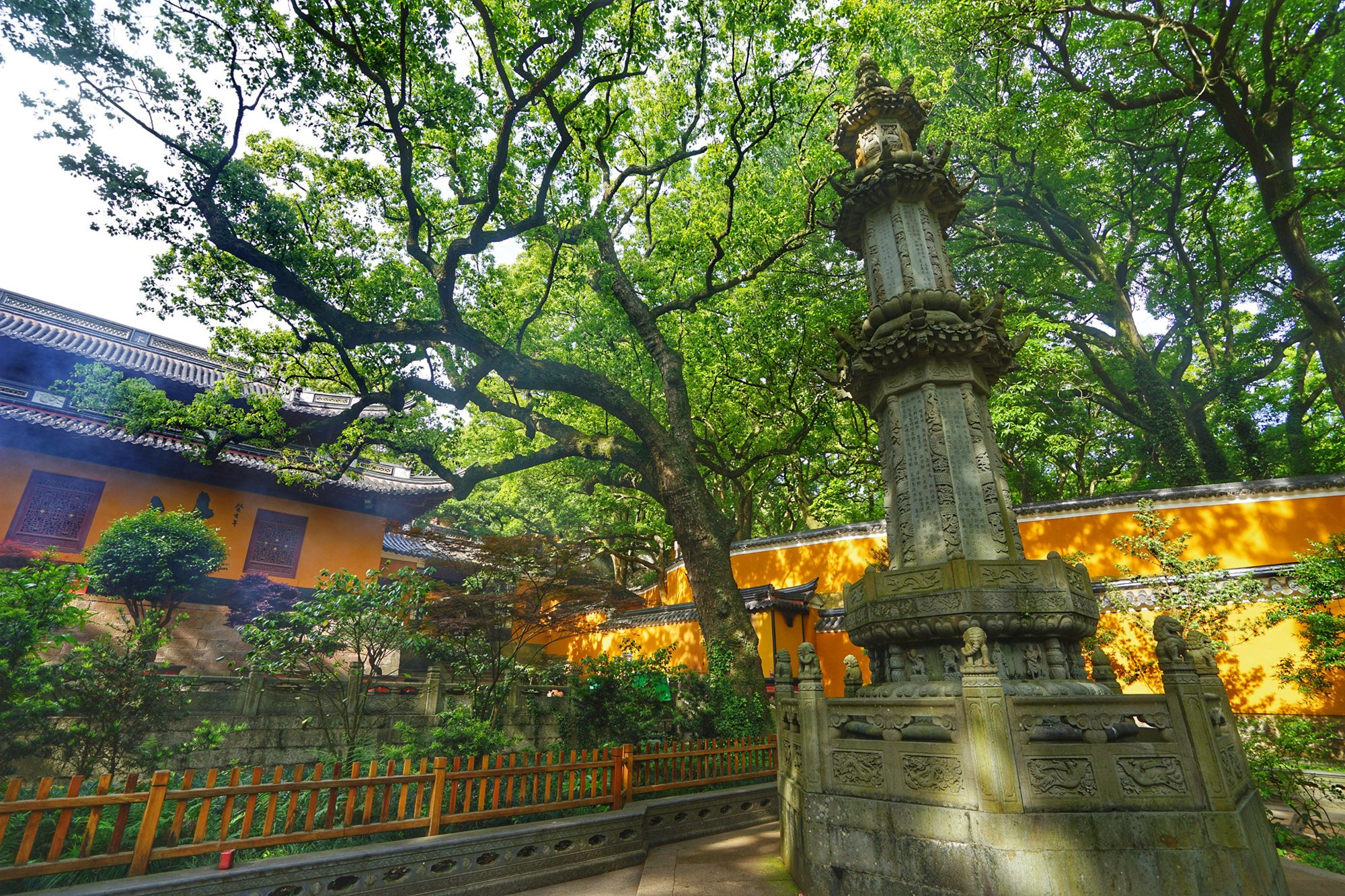 法雨禅寺，法雨寺简介