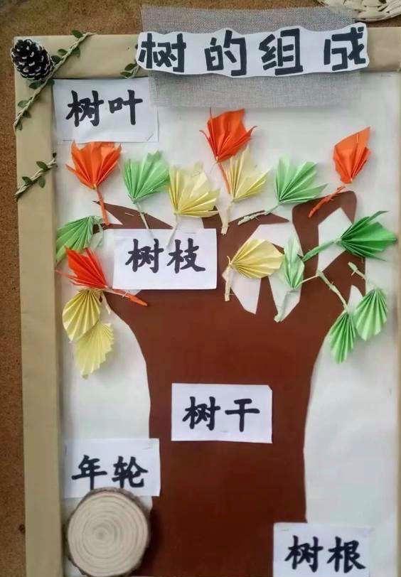 大树的特点，大树的特点是什么像什么?