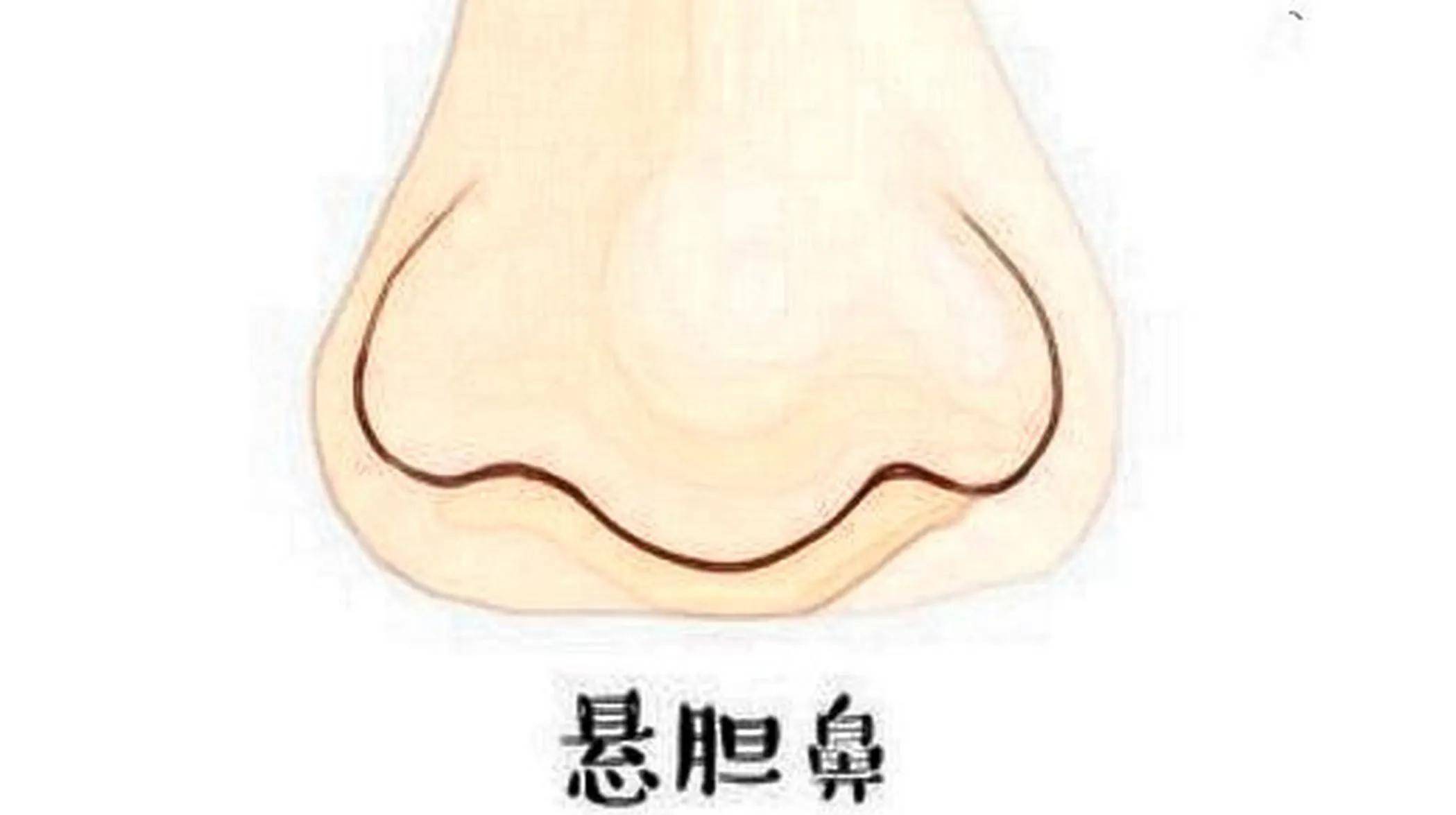 犹太鼻，犹太鼻子面相