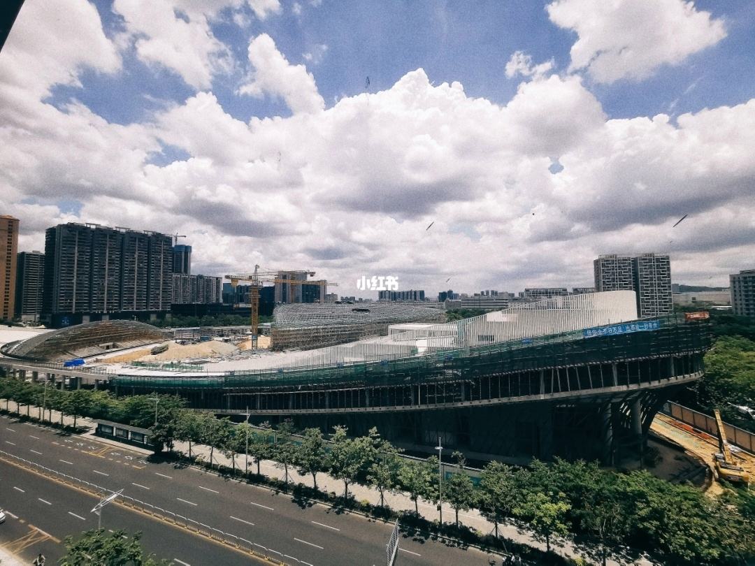 深圳810事件，深圳810事件百科