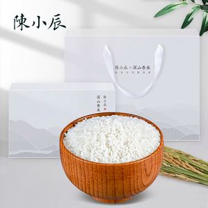 陈小辰，星辰个人真实简历