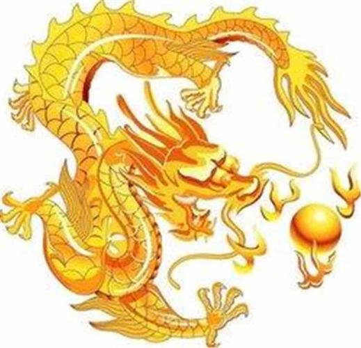 1988年多少岁，属龙人1988年多少岁