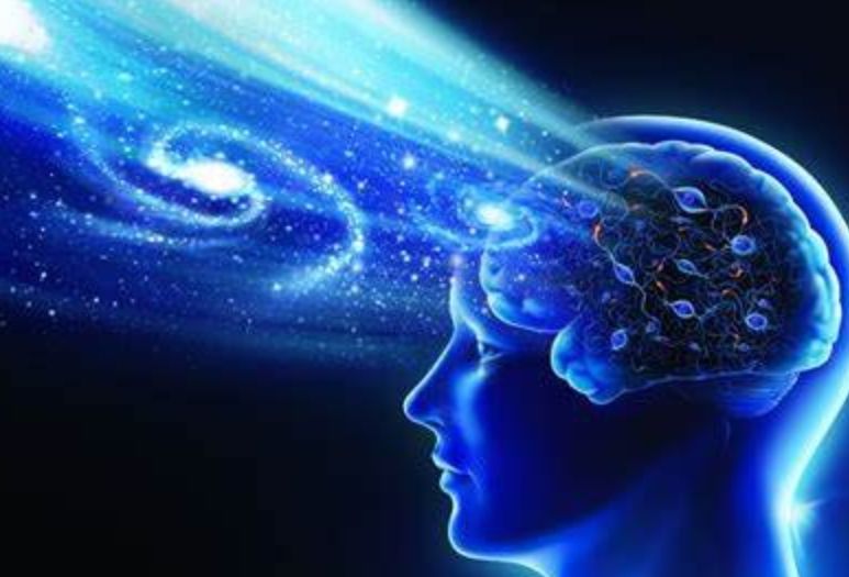关于元宇宙世界观搭建的信息