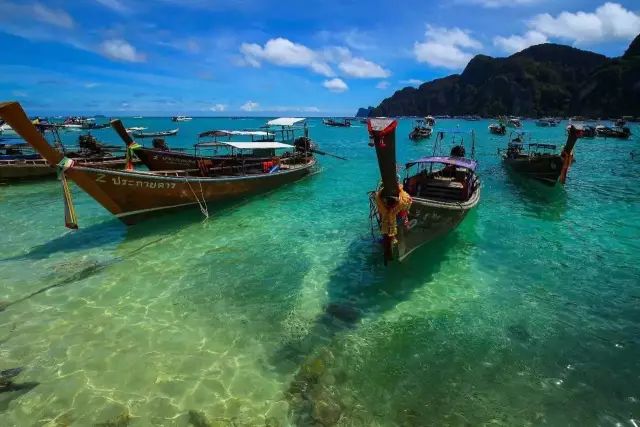 明珠出海格，明珠出海格成格条件