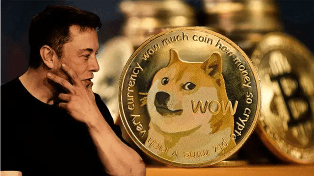 货币为什么不上狗狗币，狗币为什么不限制发行数量
