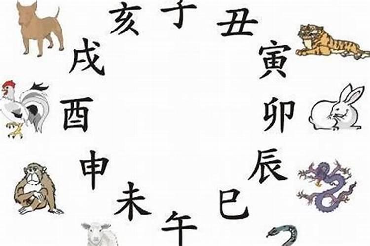 23岁属什么生肖，今年23岁属什么生肖