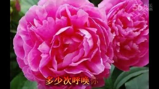 许我来生再爱你，遇上你是我的缘歌曲原唱
