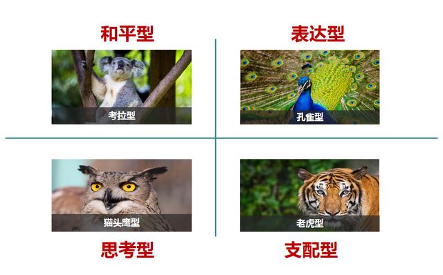 老虎型人格，老虎型人格的优点及缺点