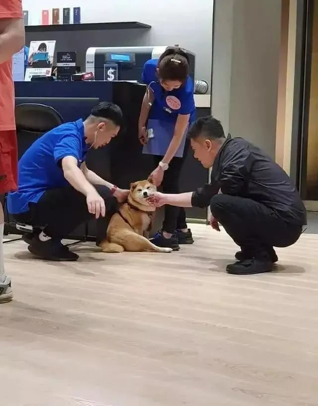 台湾小色姐，台湾的代表色是什么