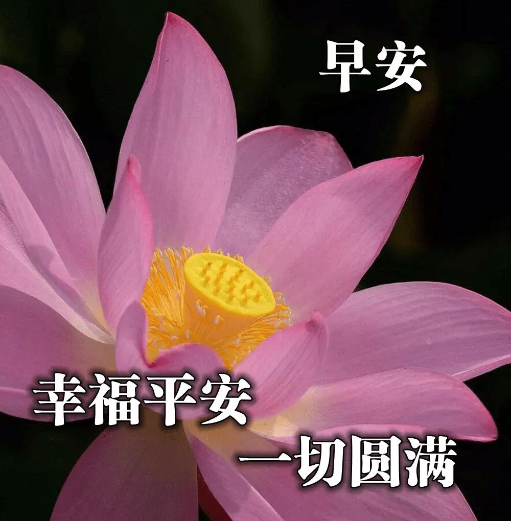 早上问好图片大全，早上问好图片大全带字