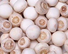 菌菇种类大全，菌菇种类大全及图片怎样做菌菇汤好喝