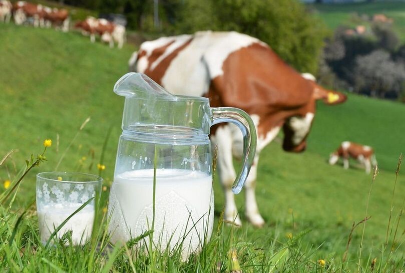 生牛乳是什么意思，有机生牛乳是什么意思