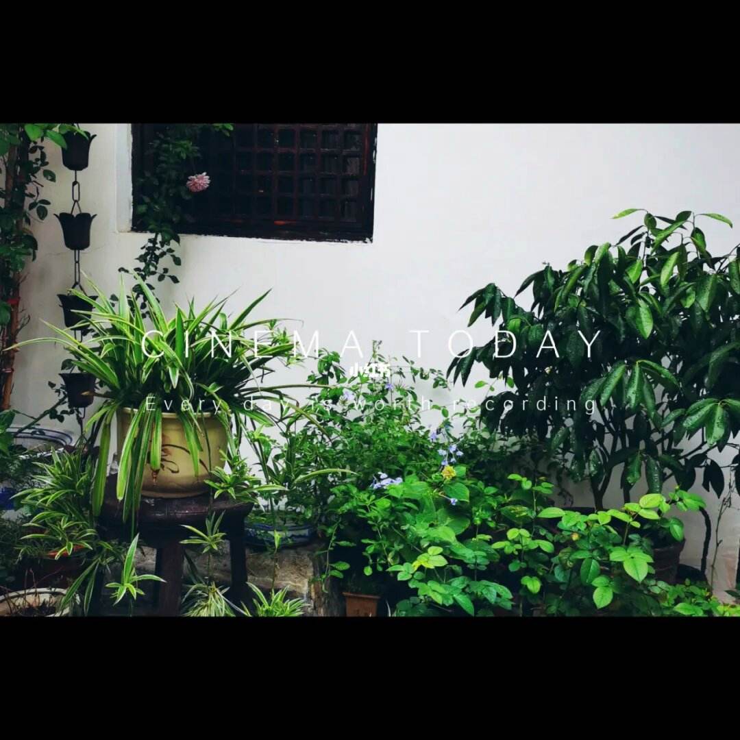九月初二，九月初三夜露似真珠月似弓的意思
