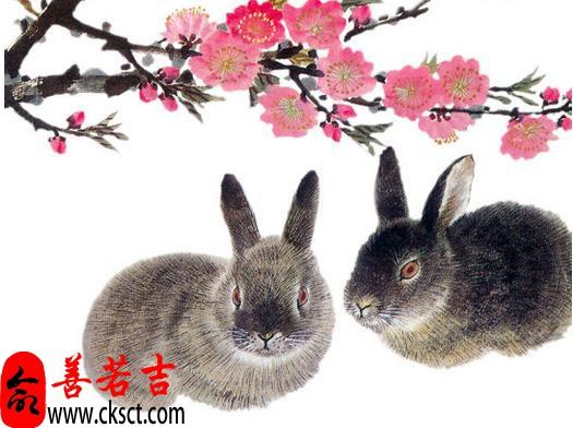 属兔今日运势，属兔今日运势财运打麻将偏财运方位幸运数字第一星座