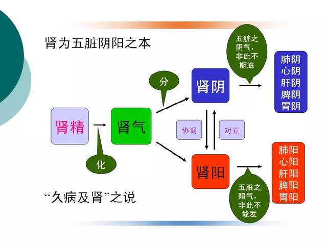 中医基础知识，中医基础知识培训课件