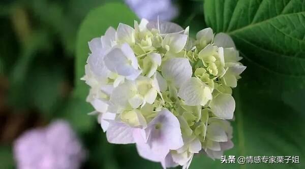 名节是什么意思，什么什么名节成语