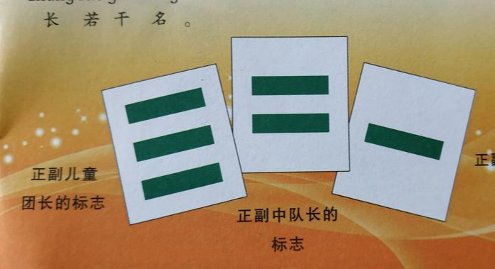 上海绿领巾，上海绿领巾被叫停
