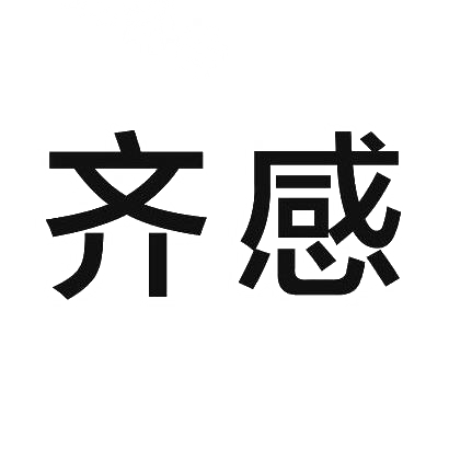 齐感科技有限公司，齐感科技有限公司上市公司