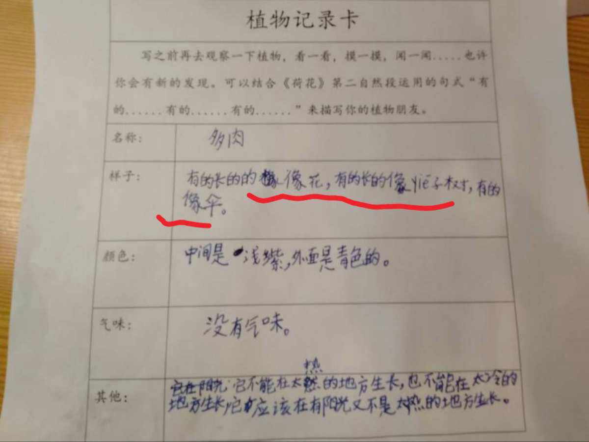 吊兰的栽培方法，吊兰的栽培方法视频